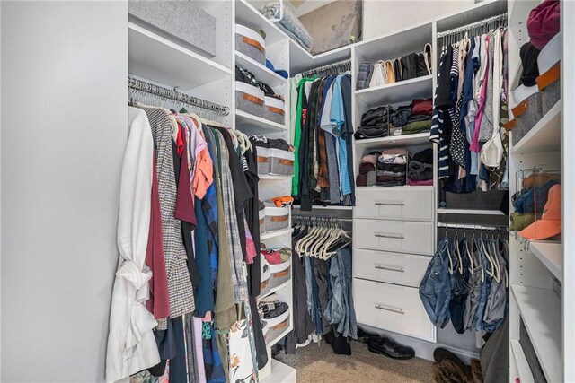 walk in closet featuring carpet