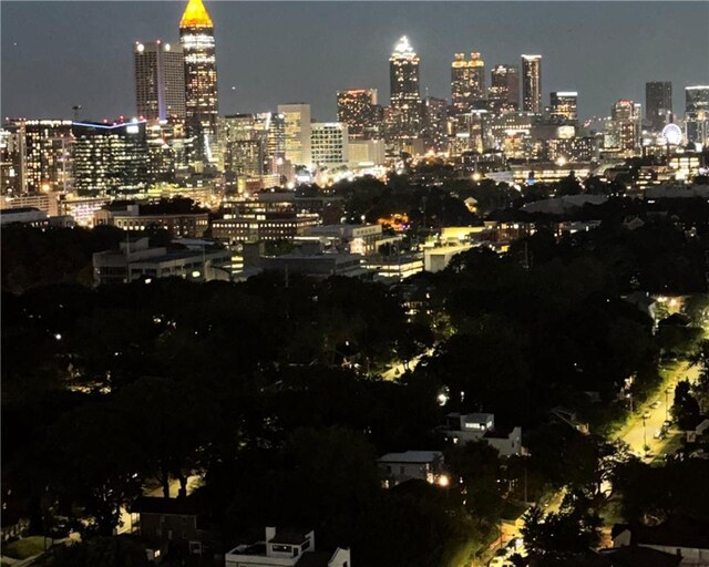 361 17th St NW Unit 2423, Atlanta, GA 30363 - city view