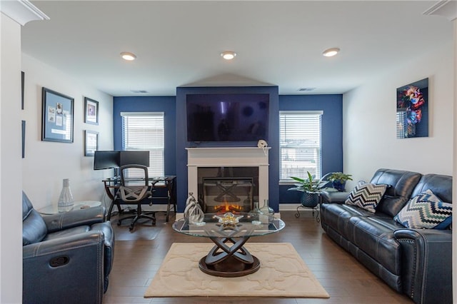 living room featuring dark hardwood / wood-style flooring