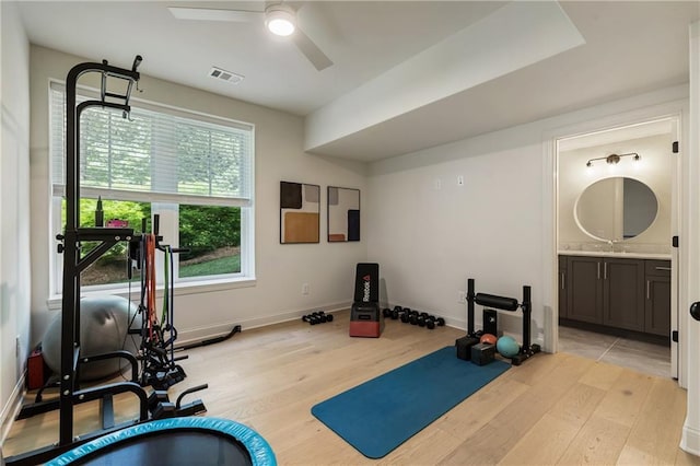 320 Shady Grove Ln, Alpharetta, GA 30009 - exercise room with light wood-type flooring, a ceiling fan, baseboards, and a sink