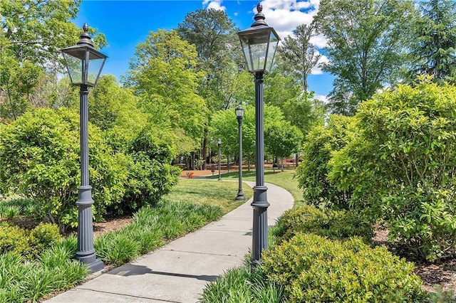 320 Shady Grove Ln, Alpharetta, GA 30009 - view of property's community with a yard and view of wooded area