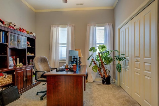 home office featuring carpet flooring and crown molding