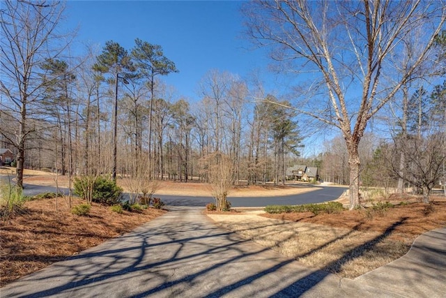 view of asphalt road
