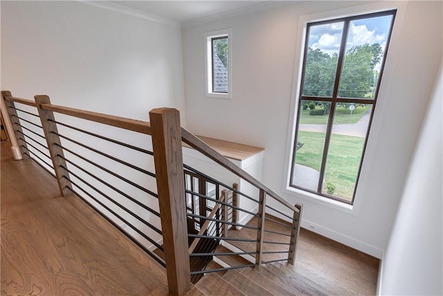 stairs featuring hardwood / wood-style floors and ornamental molding