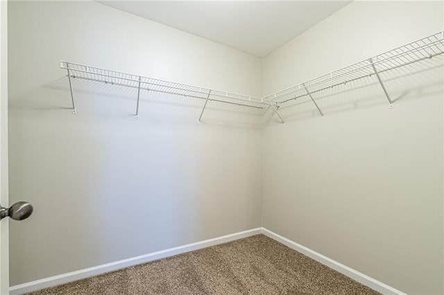 spacious closet with carpet floors