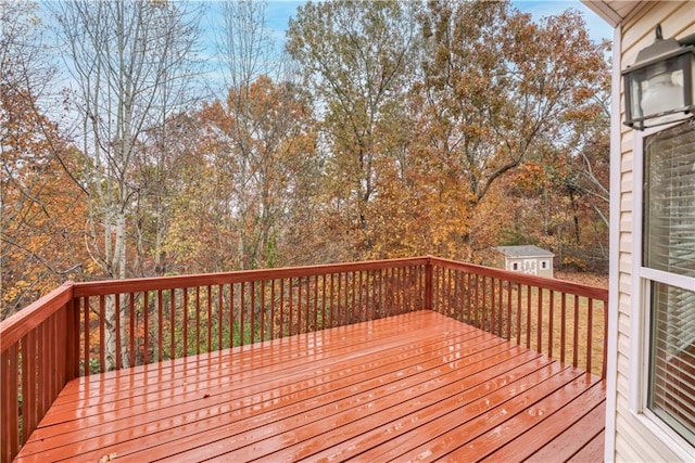 wooden terrace with a storage unit