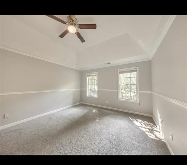 unfurnished room featuring a tray ceiling, ceiling fan, and carpet flooring