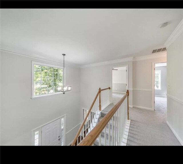 hallway featuring crown molding, plenty of natural light, light carpet, and a chandelier