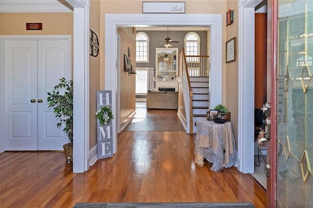 foyer entrance featuring dark wood-type flooring, ornamental molding, and ceiling fan