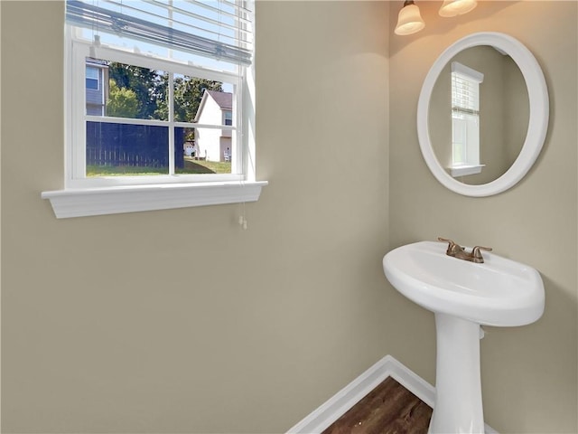 bathroom with wood-type flooring