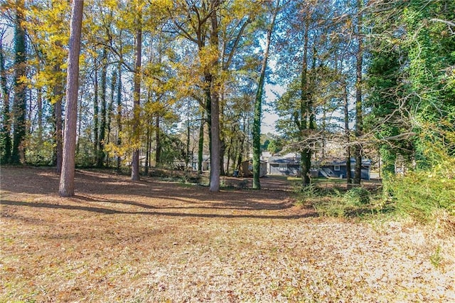 8775 Lee Rd, Lithia Springs, GA 30122 - view of yard