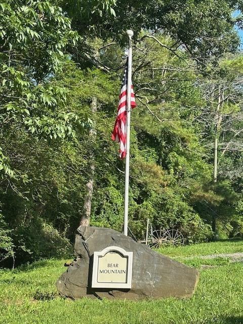 0 Bear Mountain Rd, Ranger, GA 30734