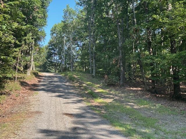 0 Bear Mountain Rd, Ranger, GA 30734
