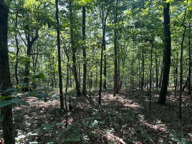 0 Bear Mountain Rd, Ranger, GA 30734