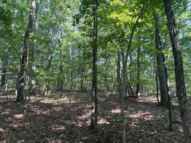 0 Bear Mountain Rd, Ranger, GA 30734
