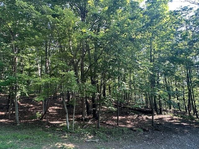0 Bear Mountain Rd, Ranger, GA 30734