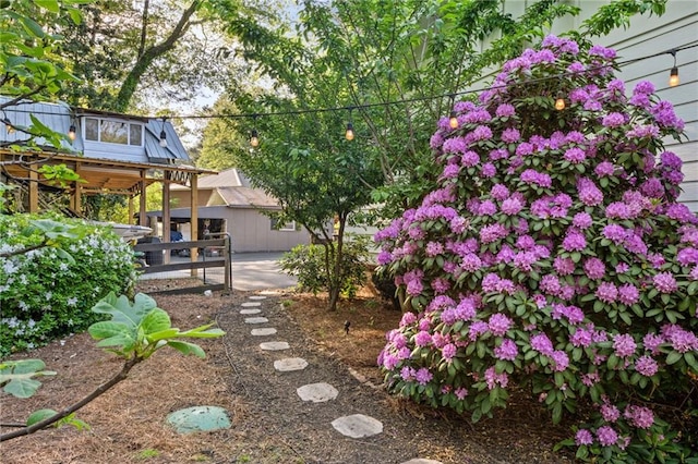 view of yard with a patio area and fence