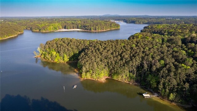 bird's eye view with a water view and a wooded view