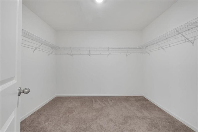 walk in closet with light carpet