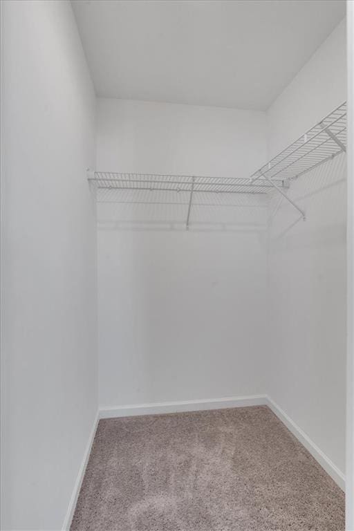 walk in closet featuring carpet flooring