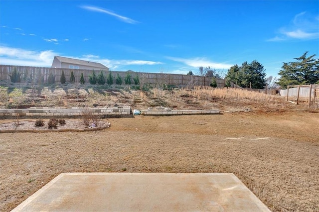 view of yard with a patio