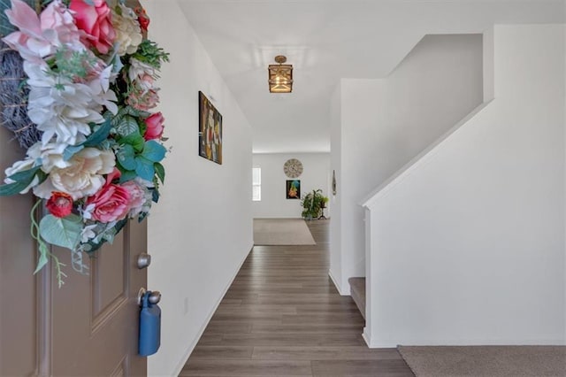 corridor with hardwood / wood-style floors