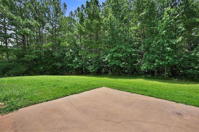 501 Barhams Ridge Dr, Mcdonough, GA 30252 - view of yard featuring a patio area