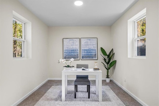 office with carpet, a wealth of natural light, and baseboards