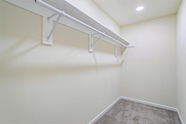 spacious closet featuring carpet flooring