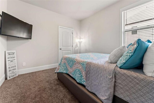736 Red Wolf Run, Atlanta, GA 30349 - bedroom featuring carpet flooring and baseboards
