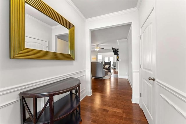 736 Red Wolf Run, Atlanta, GA 30349 - corridor with a wainscoted wall, a decorative wall, dark wood-style flooring, and ornamental molding