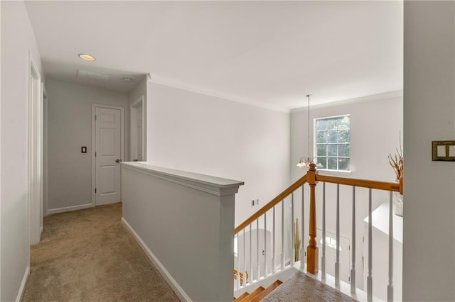 corridor with carpet flooring and a notable chandelier