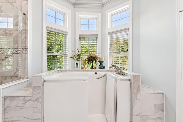 317 Red Gate Overlook, Canton, GA 30115 - full bath with marble finish flooring, plenty of natural light, a bath, a shower, and crown molding