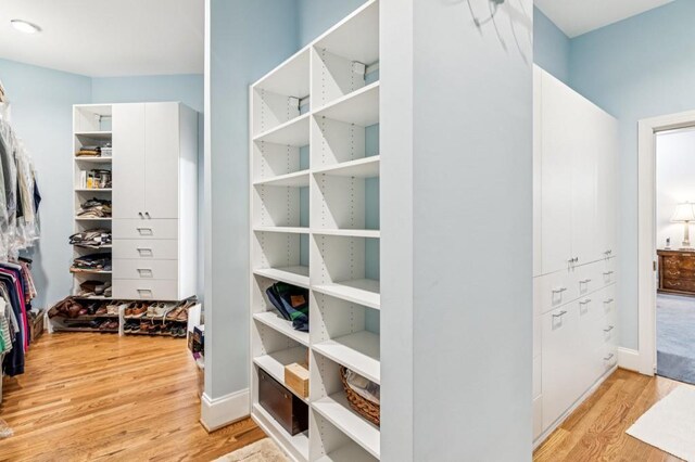 317 Red Gate Overlook, Canton, GA 30115 - walk in closet with light wood-style floors