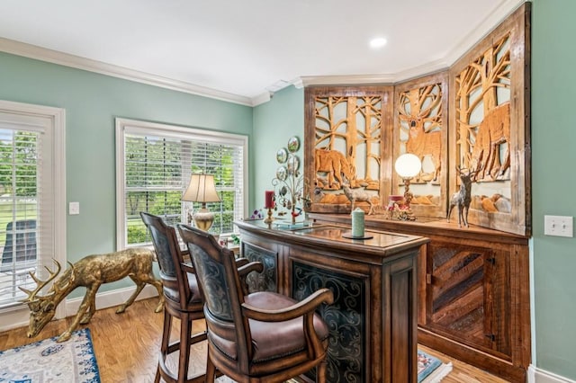 317 Red Gate Overlook, Canton, GA 30115 - bar featuring wood finished floors, crown molding, plenty of natural light, and recessed lighting