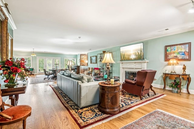 317 Red Gate Overlook, Canton, GA 30115 - living room with wood finished floors, a lit fireplace, and ornamental molding