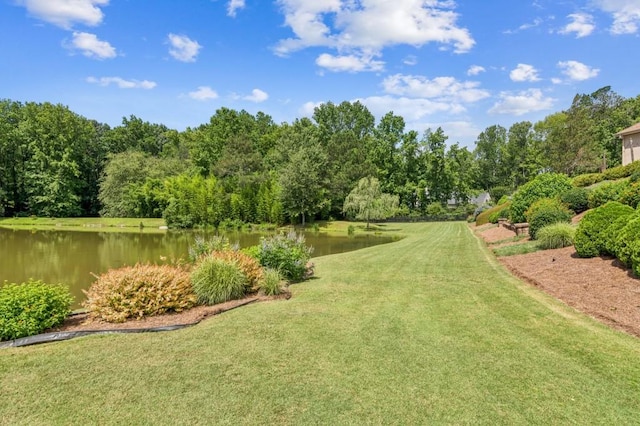 317 Red Gate Overlook, Canton, GA 30115 - view of green lawn featuring a water view