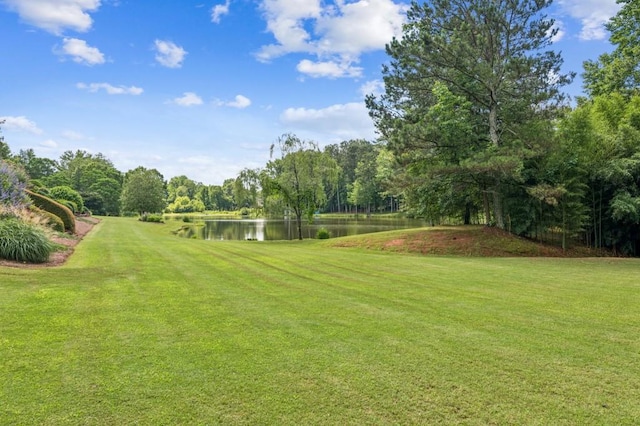 317 Red Gate Overlook, Canton, GA 30115 - view of grassy yard with a water view