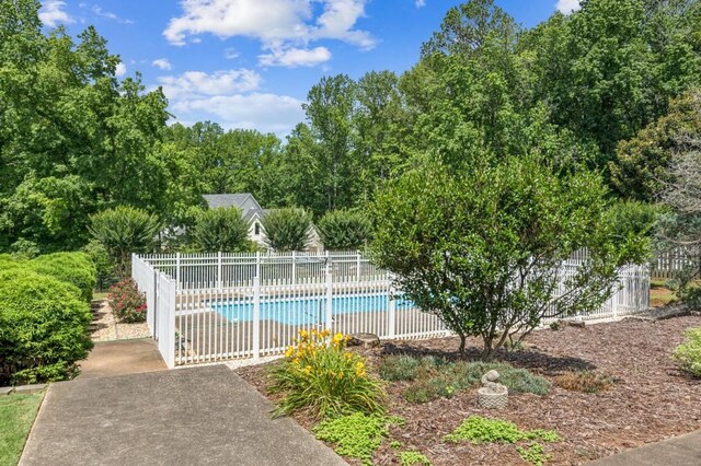 317 Red Gate Overlook, Canton, GA 30115 - view of swimming pool