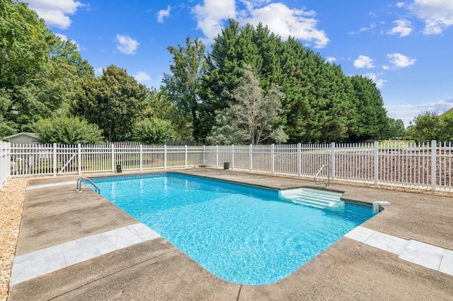 317 Red Gate Overlook, Canton, GA 30115 - view of pool featuring a patio area