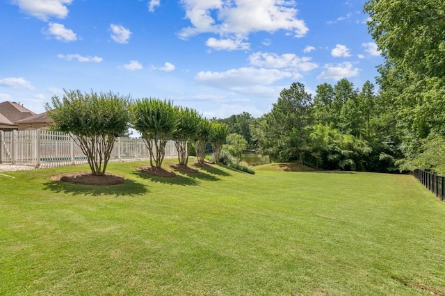 317 Red Gate Overlook, Canton, GA 30115 - view of yard