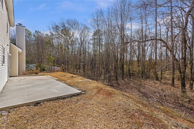 view of yard featuring a patio area