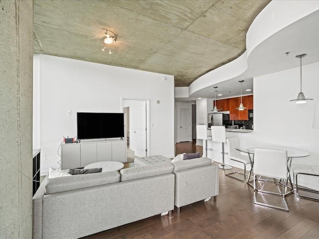 living room featuring dark wood-type flooring