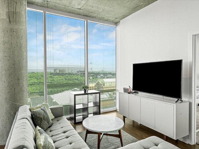 living room featuring dark wood-style flooring and expansive windows
