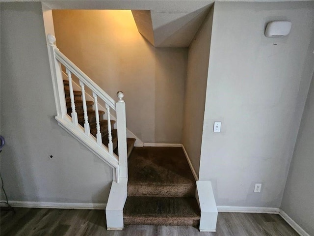 staircase featuring wood-type flooring