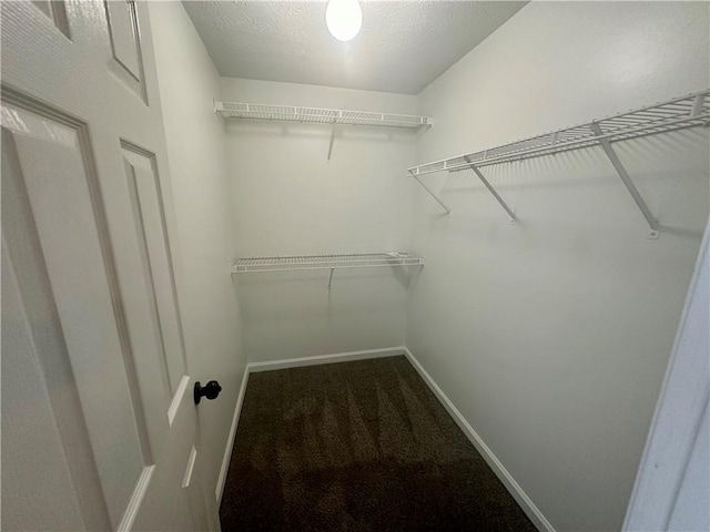 spacious closet with carpet floors