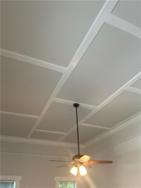 216 Hardee St, Dallas, GA 30132 - detailed view of a ceiling fan