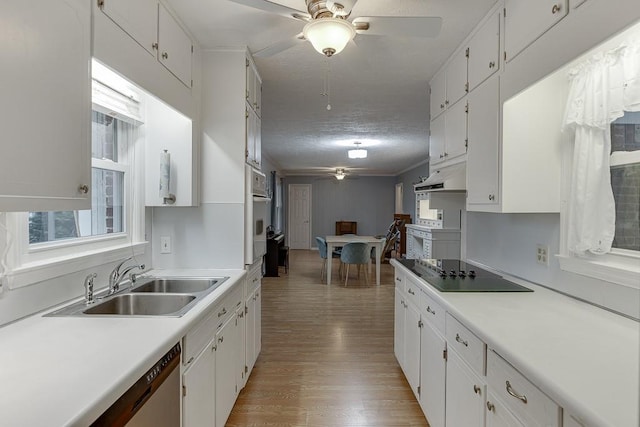 kitchen featuring white cabinetry, sink, ceiling fan, and black electric cooktop