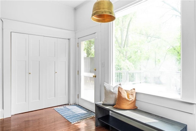 doorway to outside with wood finished floors