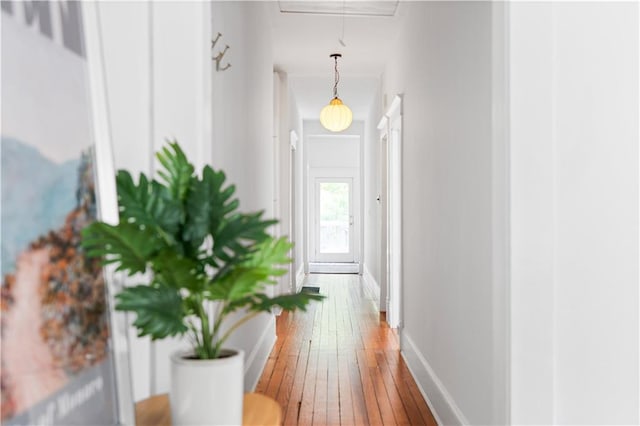 hall with wood-type flooring, attic access, and baseboards